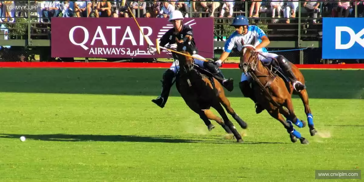 🎮限量周边,收藏首选!🎁